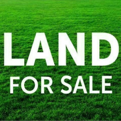 LAND SALES AND RENTED PROPERTY